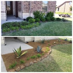 Decomposed Granite. Agave. Stone Borders