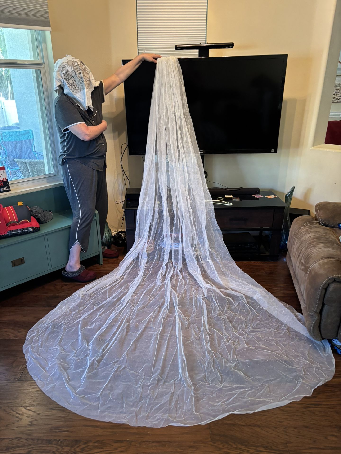 Cathedral shimmer Bridal Veil