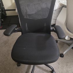 Ergonomic Office Chair
