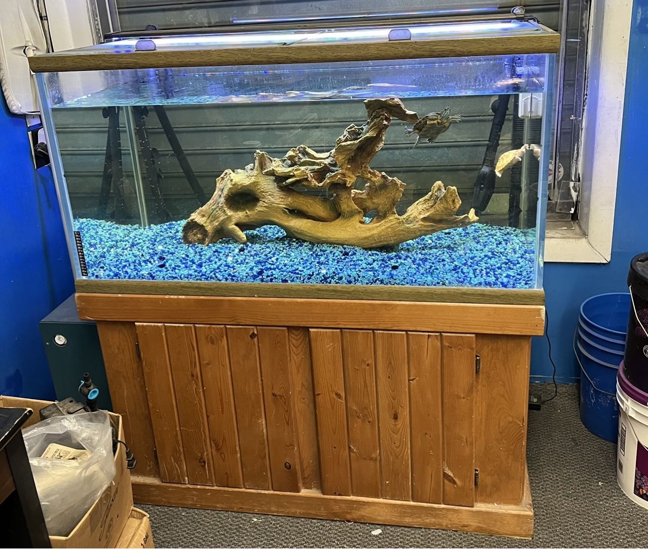 120 Gallon Oceans Aquarium Fish Tank Complete $1000
