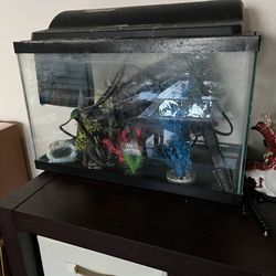 Fish tank , pump and other stuffs