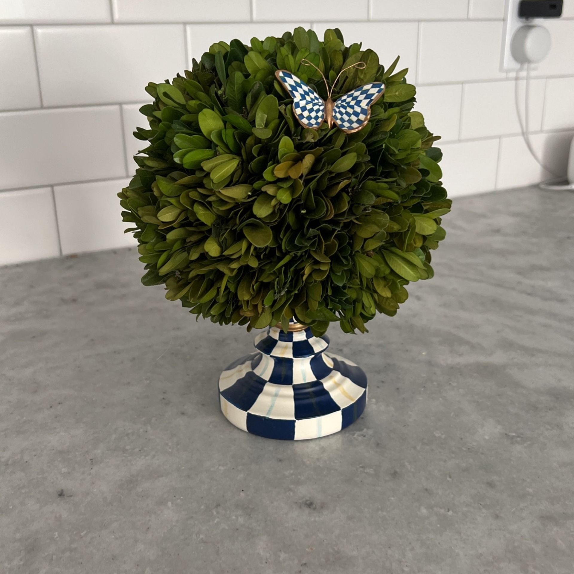 Mackenzie Childs Royal Check Architect’s Centerpiece Boxwood Topiary