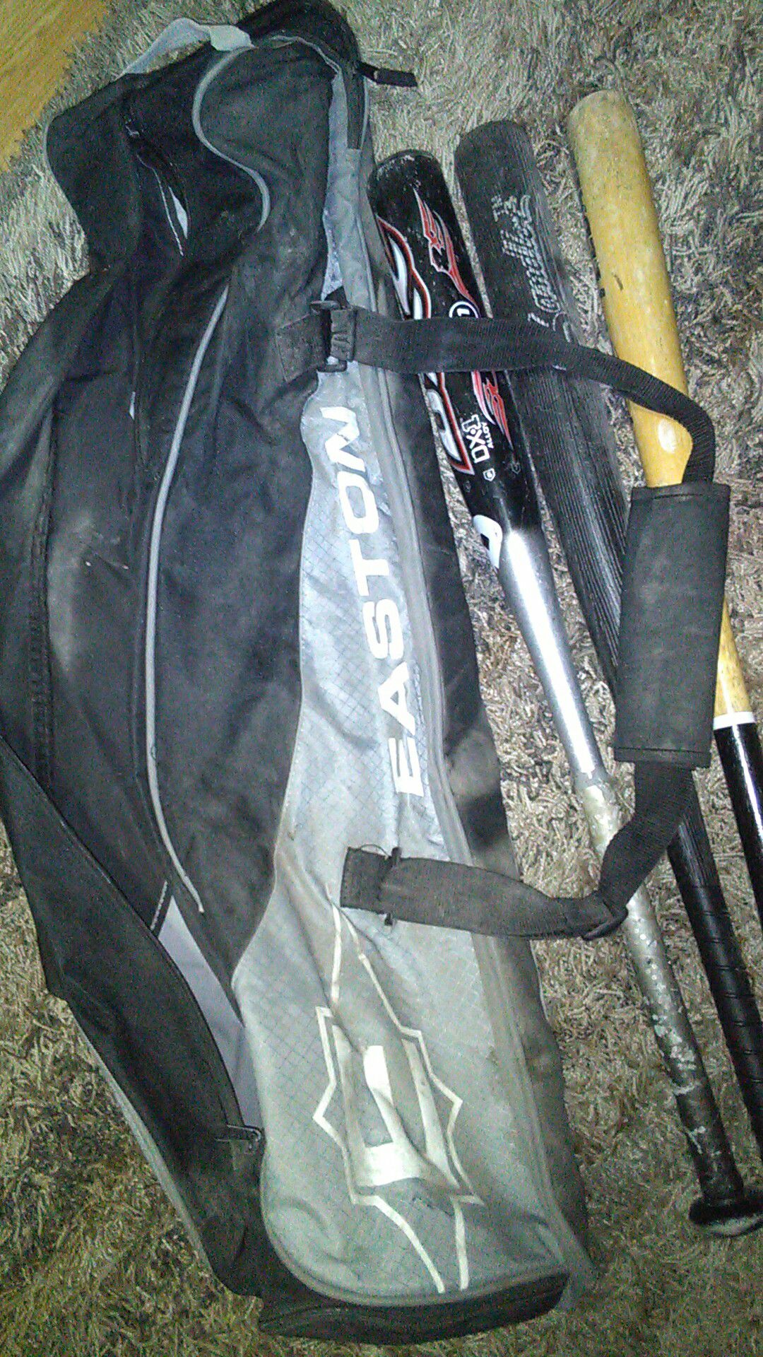 Baseball bats and bag