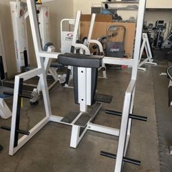 Seated Overhead Press 