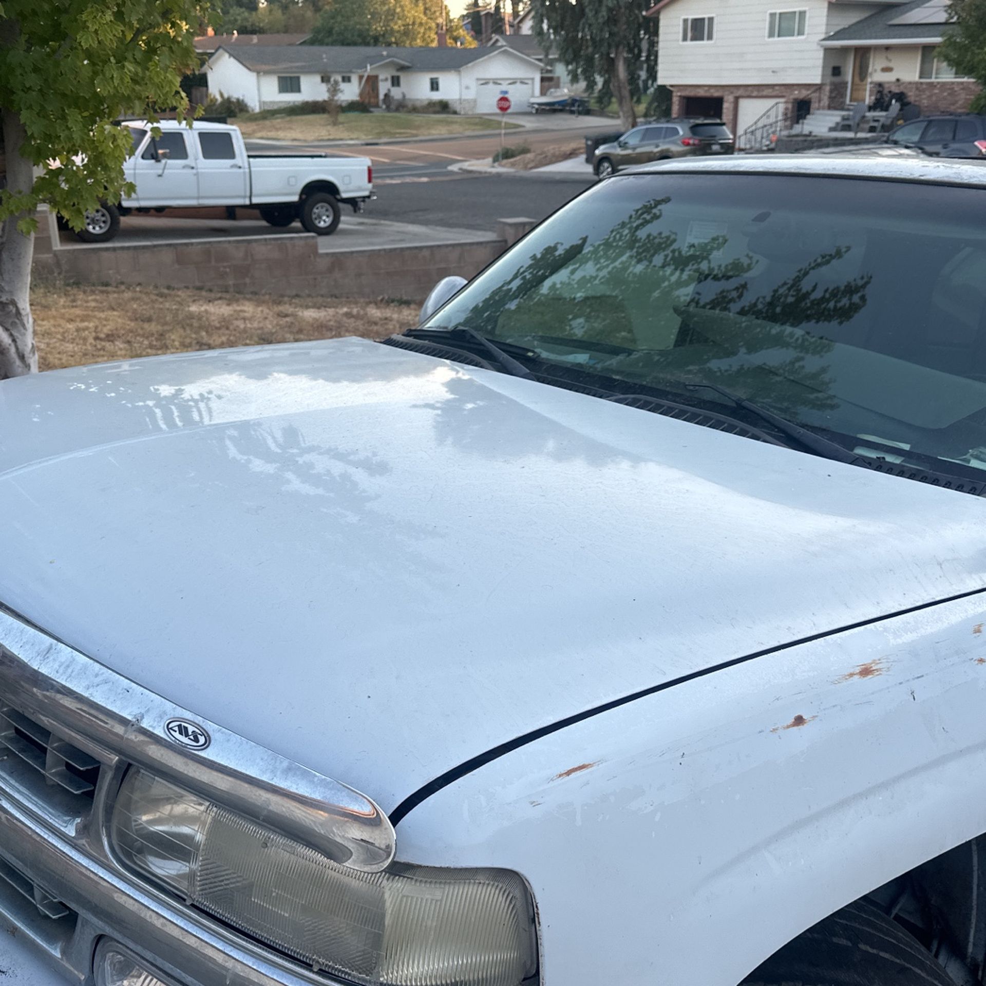 2006 Chevy Tahoe hood White