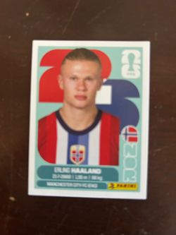 Panini sticker