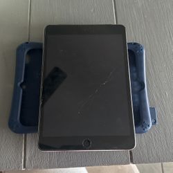 iPad Mini 2