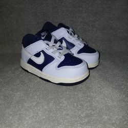 Toddler Nike Dunks Size 6c