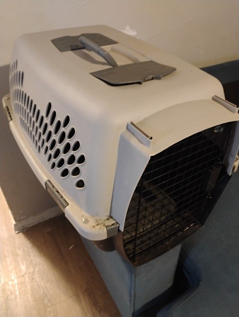 Dog Kennel 