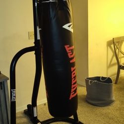 Everlast Punching Bag