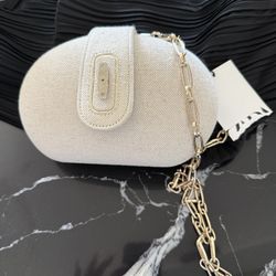 Beautiful Zara Clutch 