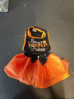 Small Halloween Dog Costume