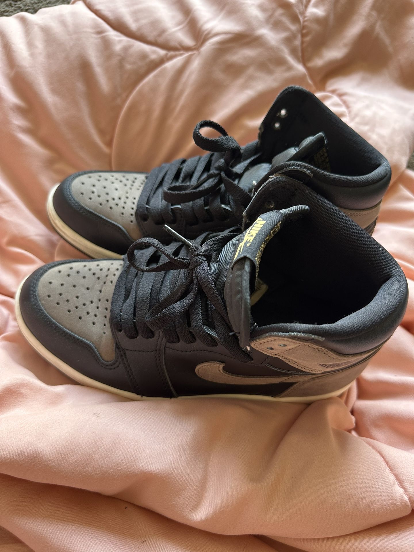 Palomino 1s