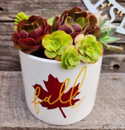 Fall Themed Succulent Planter 