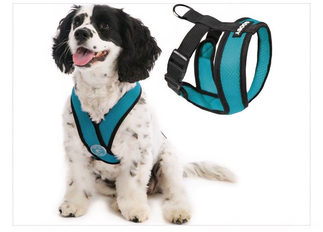 Gooby Comfort X Head-in Harness - Turquoise Medium - Breathable Lightweight Wrinkle Free Mesh