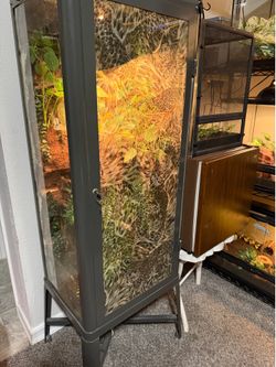 Reptile terrarium