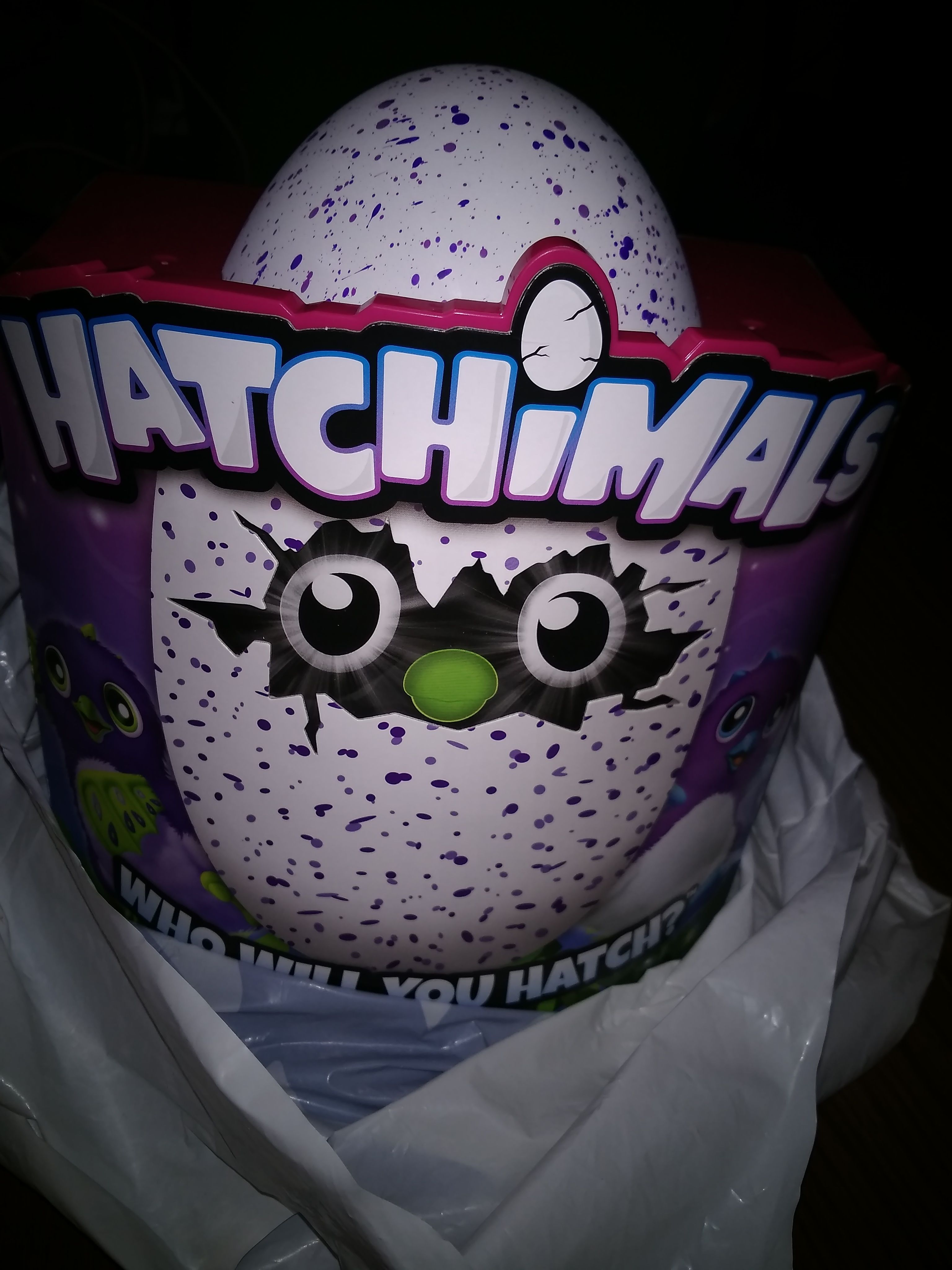 Burtle hatchimals NIB misprint collectable 1st edition.