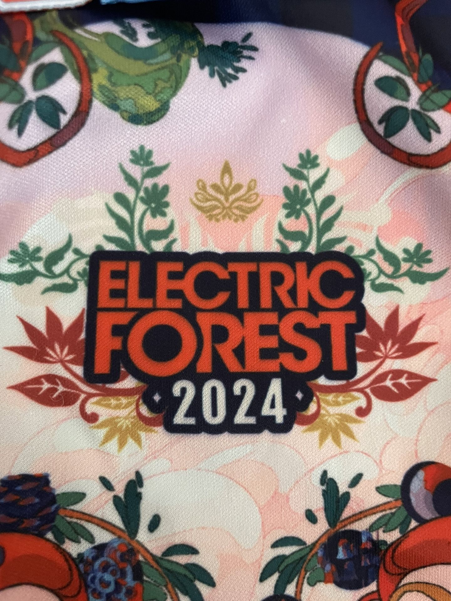 Electric Forest 2024 !!! Rothbury, MI