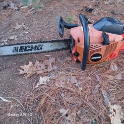 Echo Chainsaw