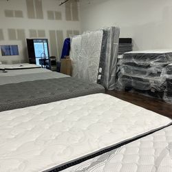 Need Mattresses Gone Today!