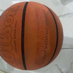 Wilson Evolution Basketball 29.5 Inch