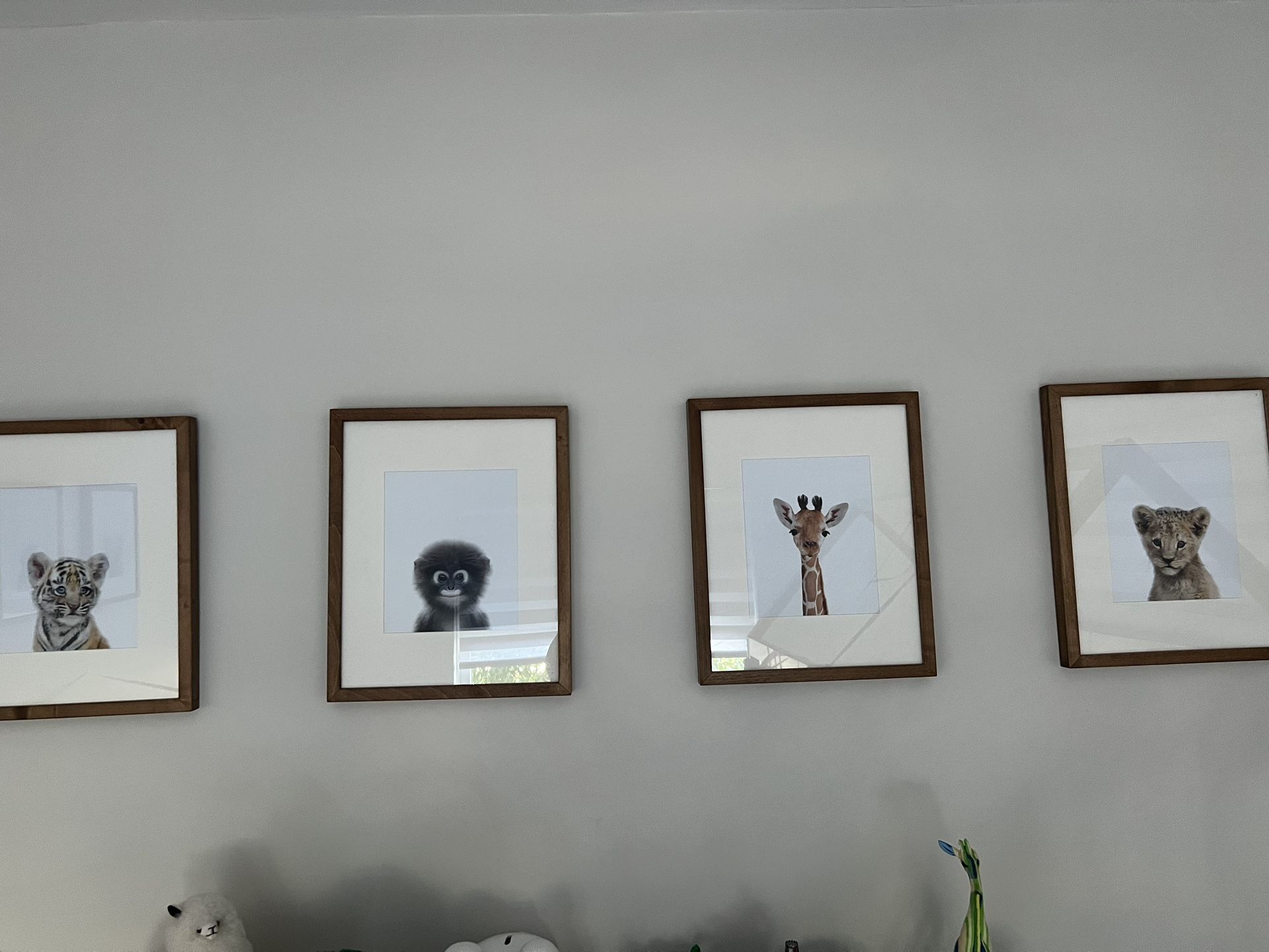 Baby animal prints with frames set of 6,All Products : American Fashion Style Bags On Sale