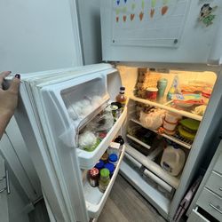 Fridge