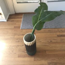 Fake Plant Decor