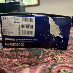 Brand New Boston Birkenstocks