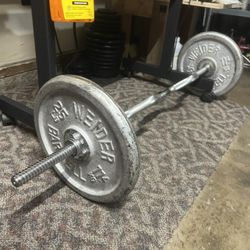Barbell Standard With 25lb Plates 