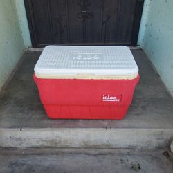 Igloo  25qt ice chest