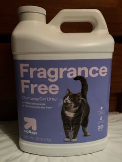 Up&Up Fragrance Free Clumping Cat Litter 20 lb