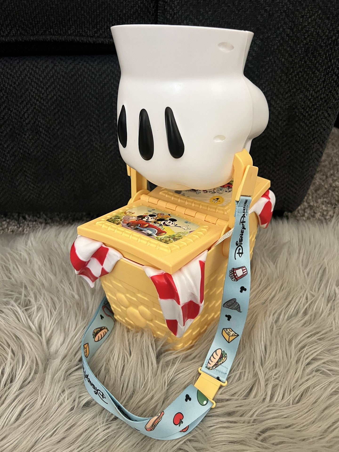 Disney Parks Popcorn Buckets