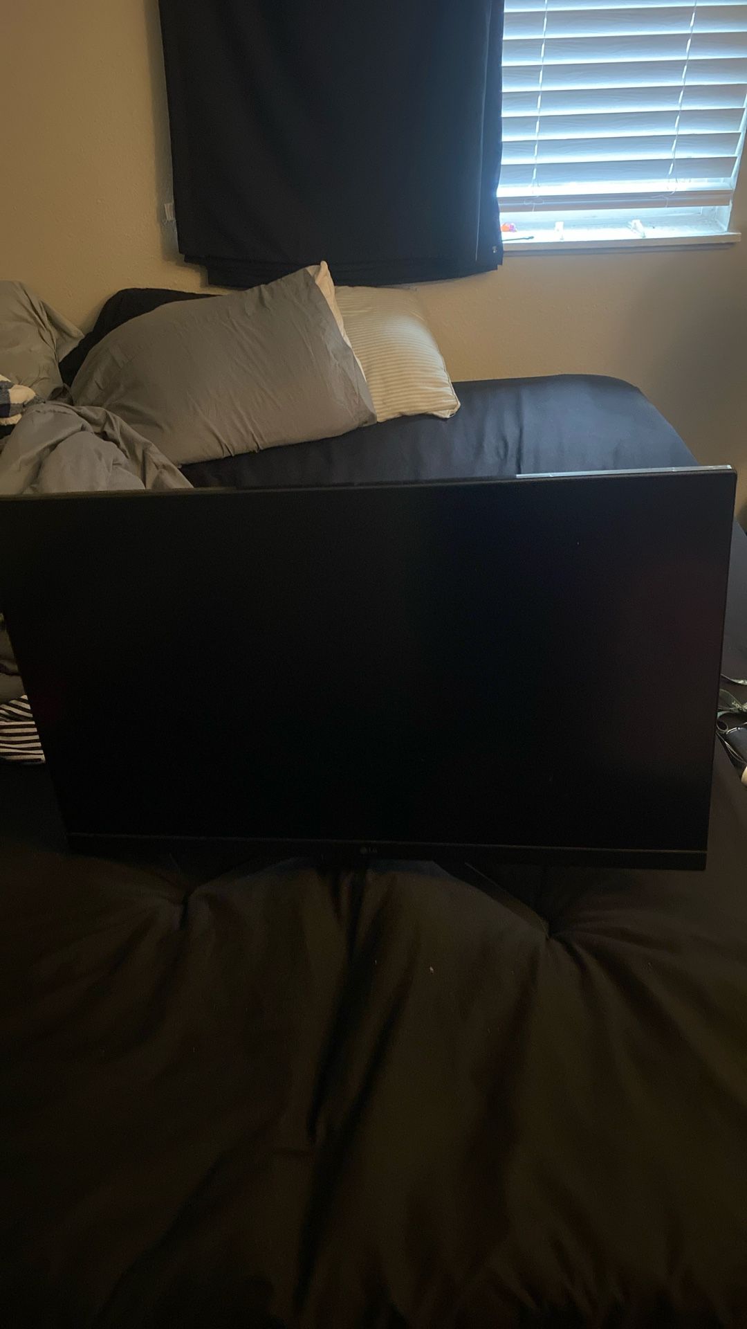 LG Ultra Gaming Monitor 