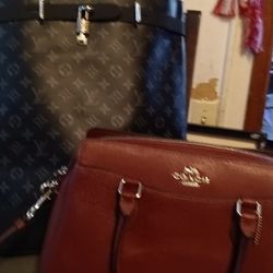 Louis Vuitton Backpack, Coach Purse 