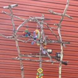 African Grey - Amazon parrot Custom Perch Tree , Each Unique … A Must Have Socializer for Mr Feathers !