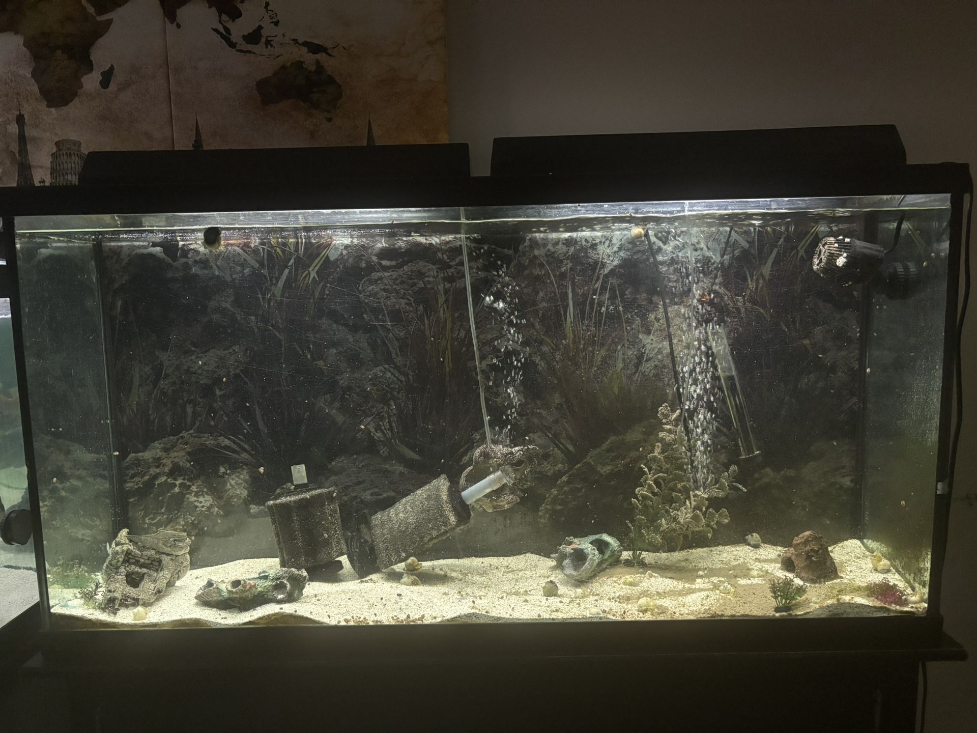 60gallon Fish Tank With Stand + Accessories