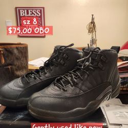 Air Jordan 12 Retro 