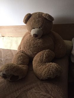 Toy