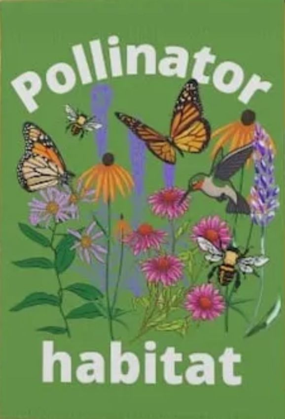 Pollinator & Native Plants! 🌸 🐝 🦋