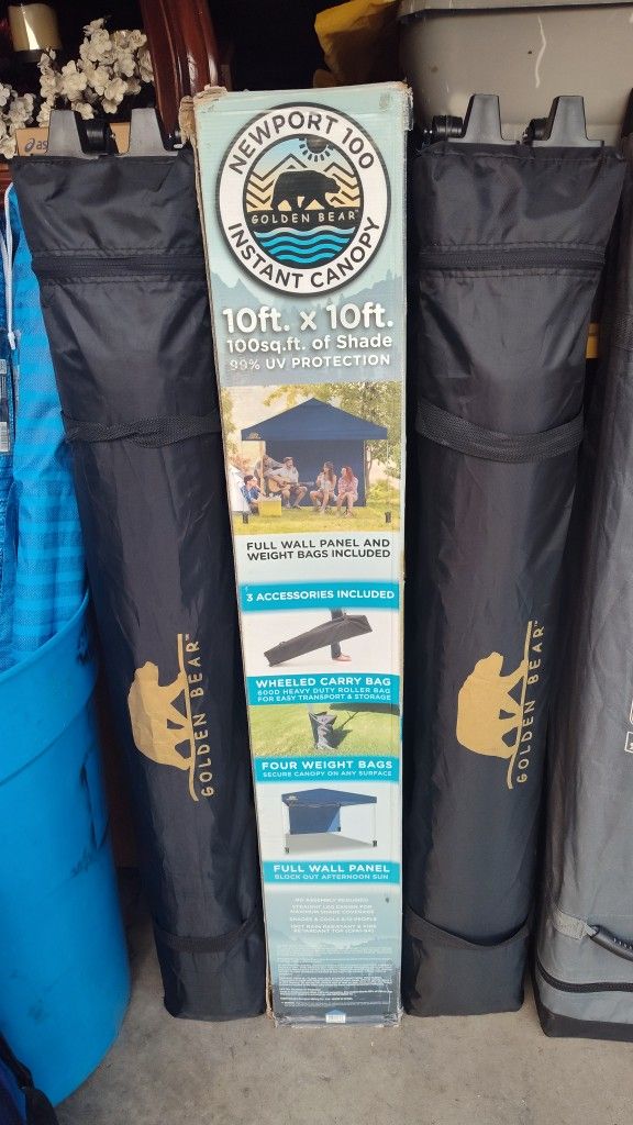 Canopy Golden Bear