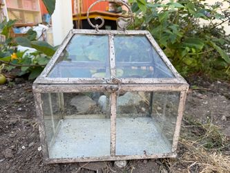 Vintage Glass & Metal Terrarium / Display Box - Greenhouse Plant Holder (11” x 7” x 11”)