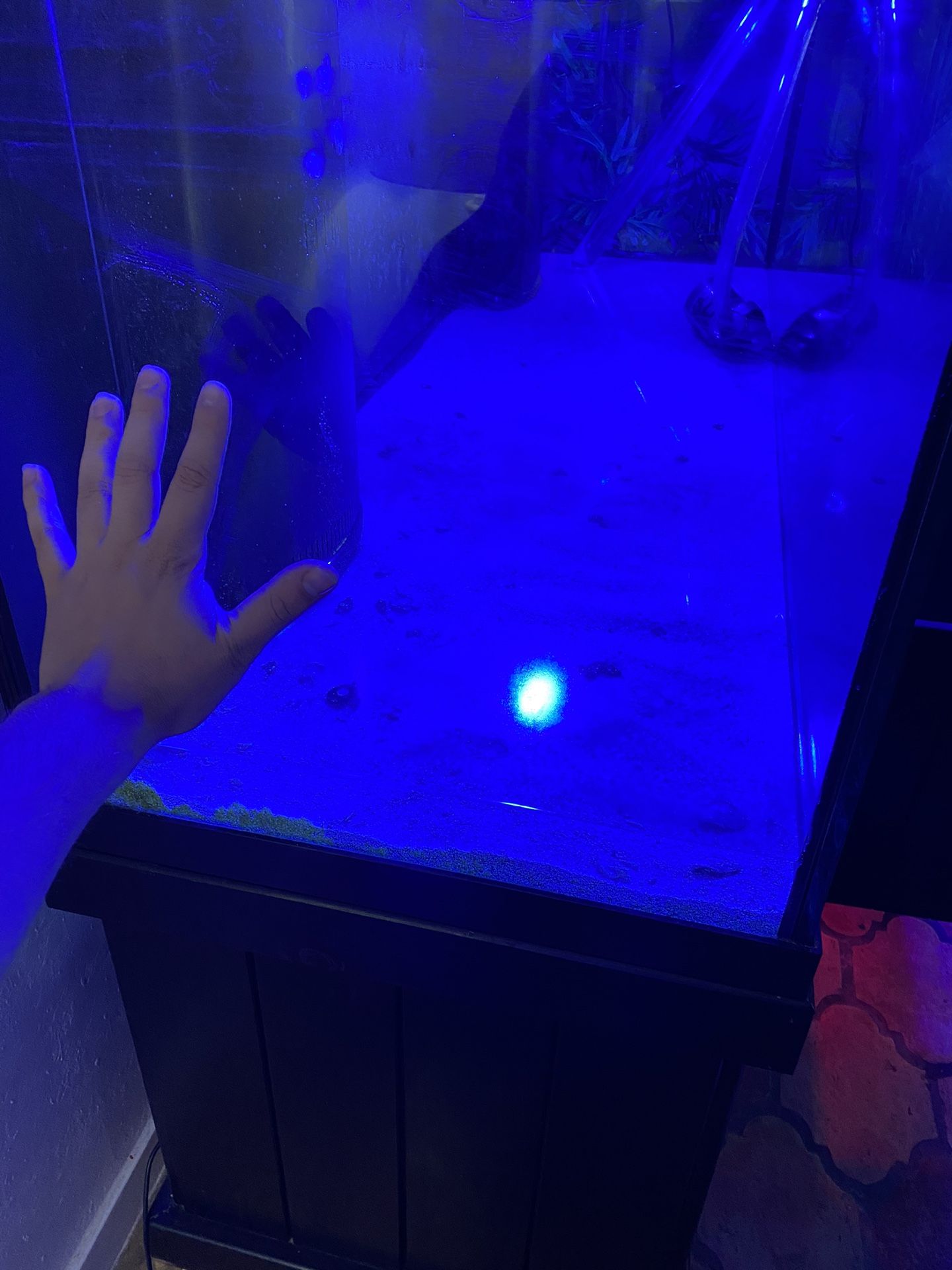 Aquarium