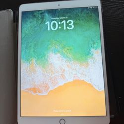 iPad Pro 10.5" Rose Gold