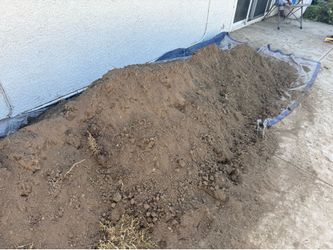 Free Dirt! Great for projects!