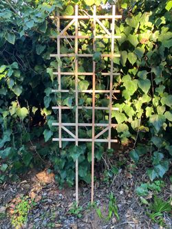 Garden trellis 24”x48”