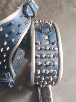 Spiked Collar and Chest Harness Combo