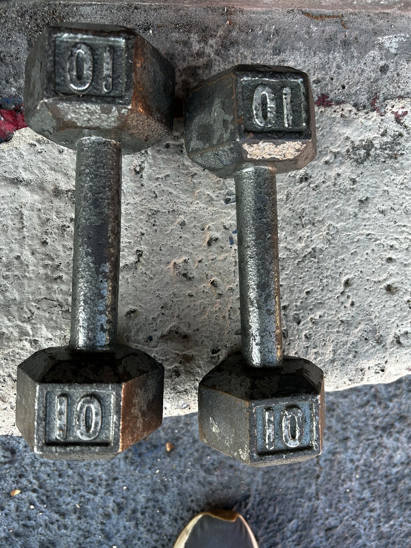 10lbs Dumbbells 