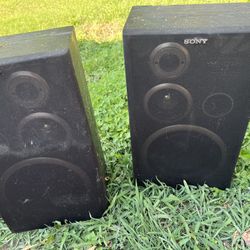 Home Receive And 2 Sony Speakers 