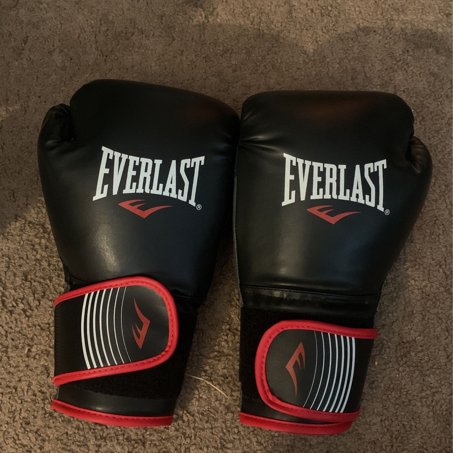 Everlast Boxing Gloves
